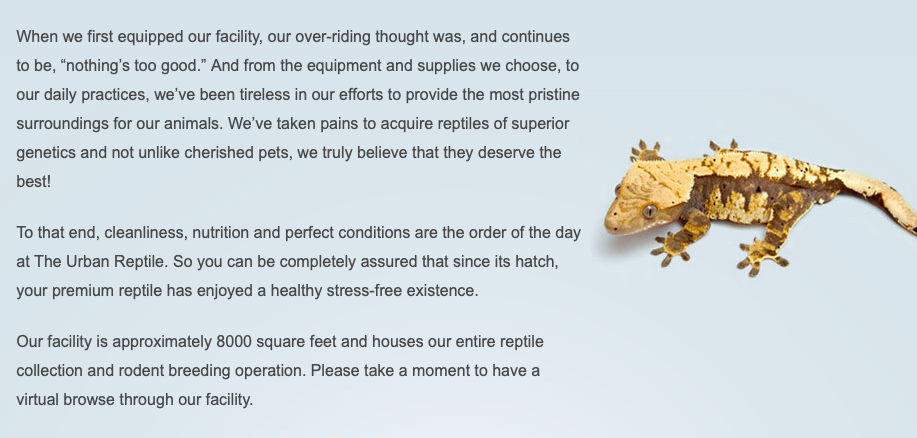 facility page header text and lizard 